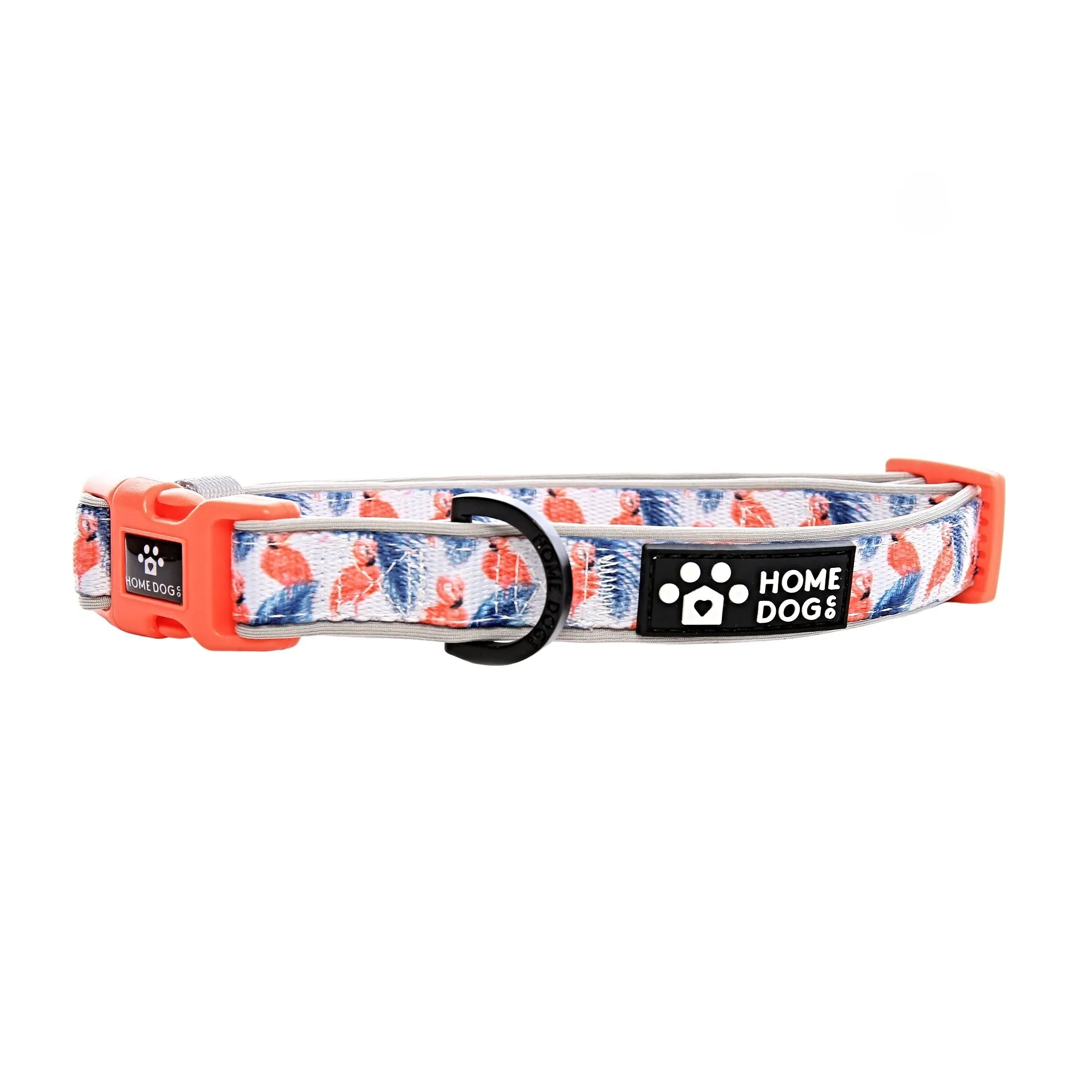 Classic Collar - Aruba